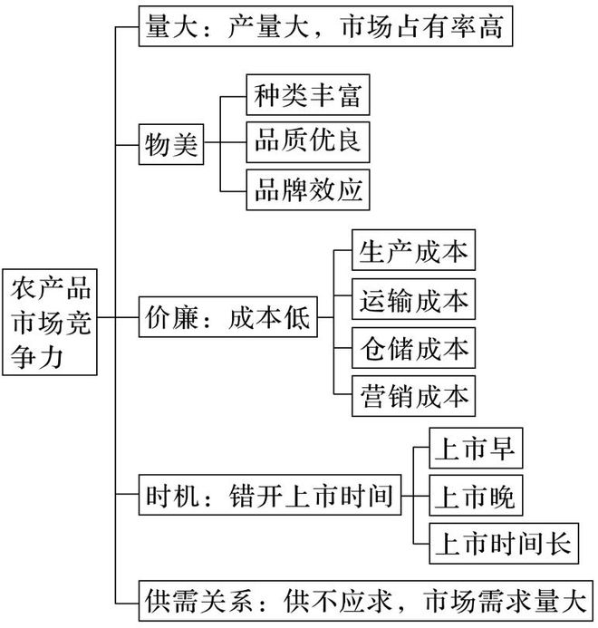 二轮微专题22 市场竞争力不朽情缘正版2025高考地理(图5)